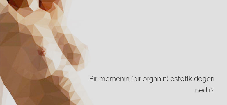 memeestetigi