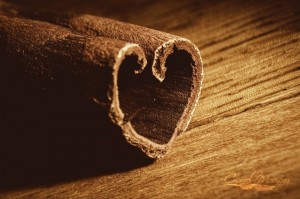 cinnamon_flavour_feelings_by_CornelMosneag