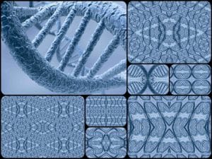 dna ve yaşlılık