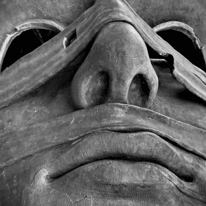 nose