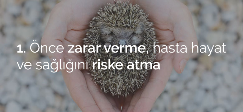 zarar_verme