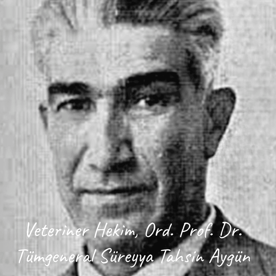 Tahsin Aygün