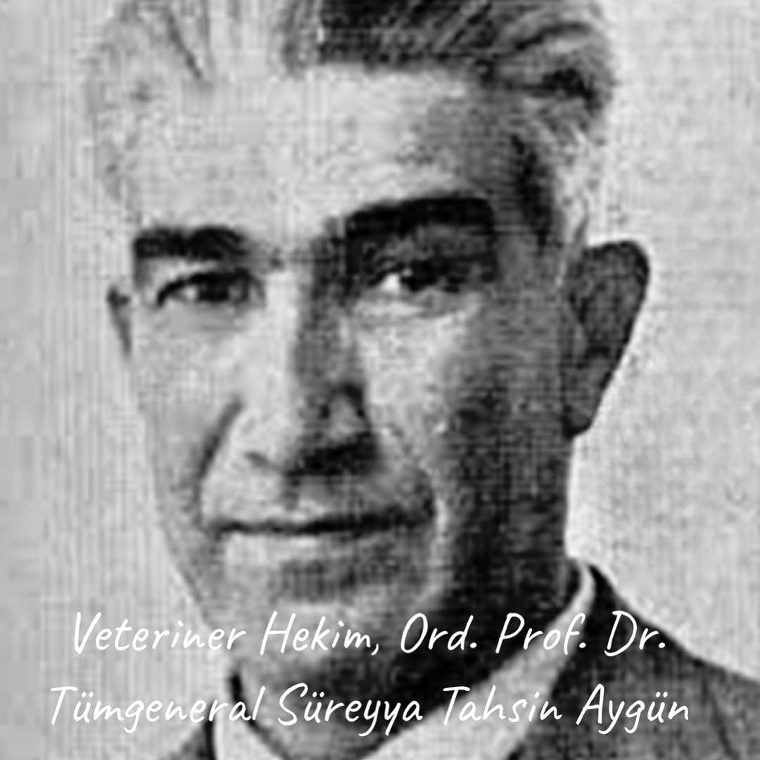 Tahsin Aygün